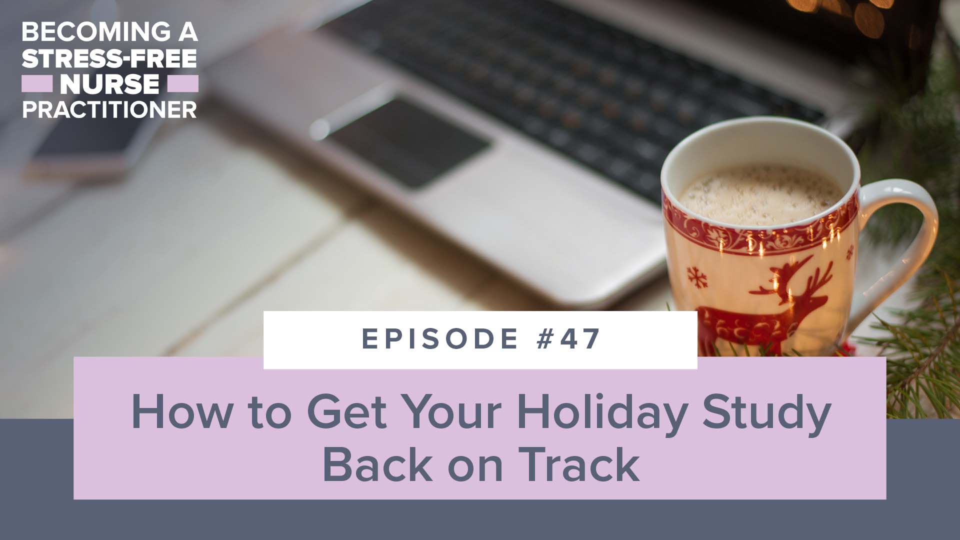 SMNP Blog - Ep #47: How to Get Your Holiday Study Back on Track [NP STUDENT]