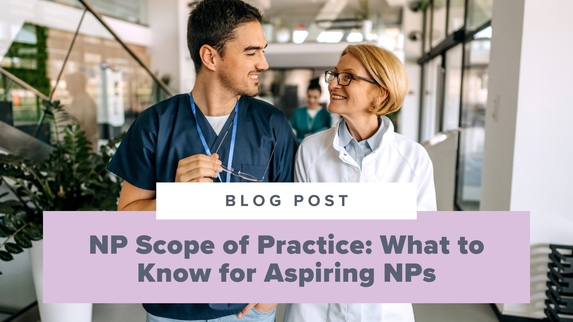 SMNP Blog - NP Scope of Practice: What to Know for Aspiring NPs